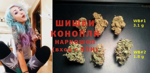 прущие грибы Горняк